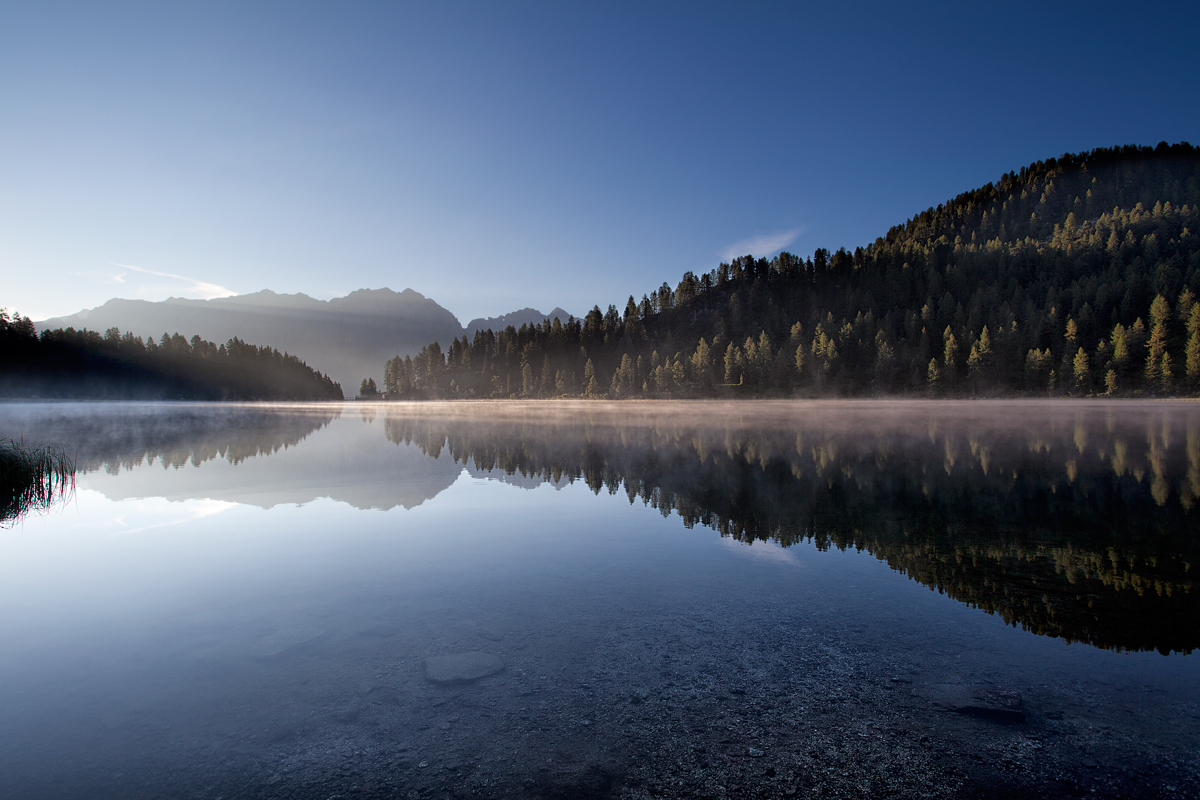 Fresh Morning Light