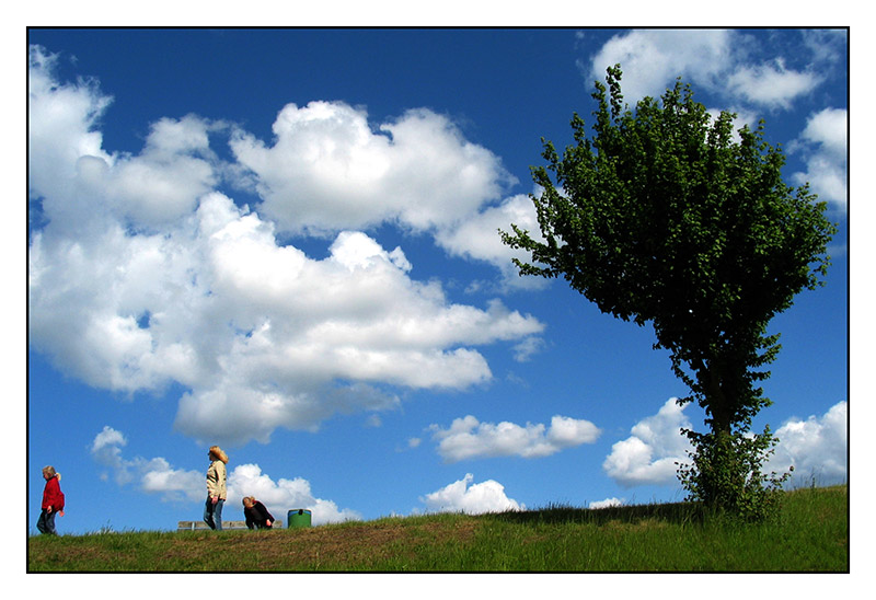 Fresh sky