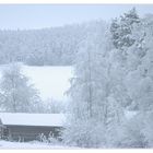 fresh snow in finland