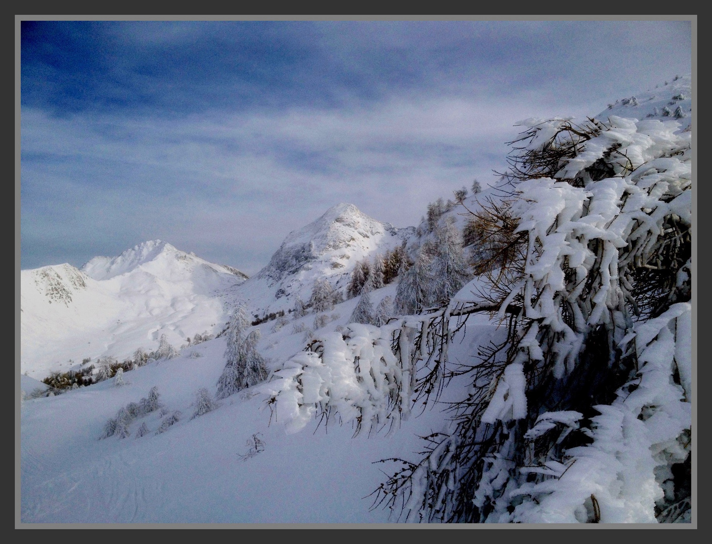 Fresh snow in Queyras