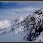 Fresh snow in Queyras