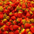 fresh strawberries at the market