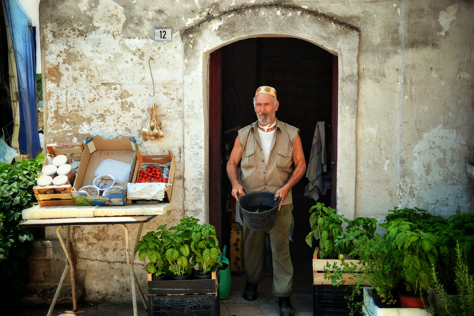 fresh vegetables