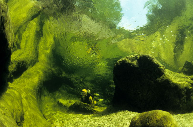 Freshwater brook in Upper Austria