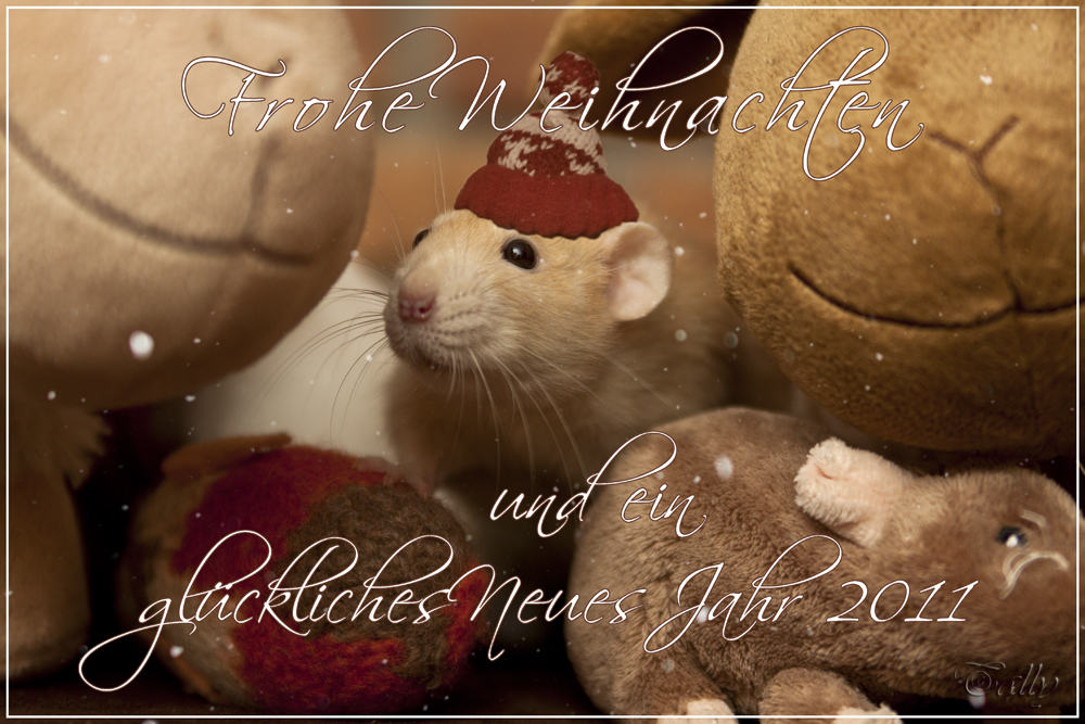 Frettige Weihnachten!