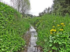 Freu mich schon auf den Frühling :o)