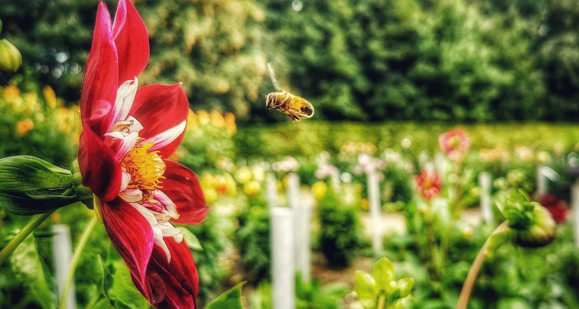 Freu mich schon auf Sommer