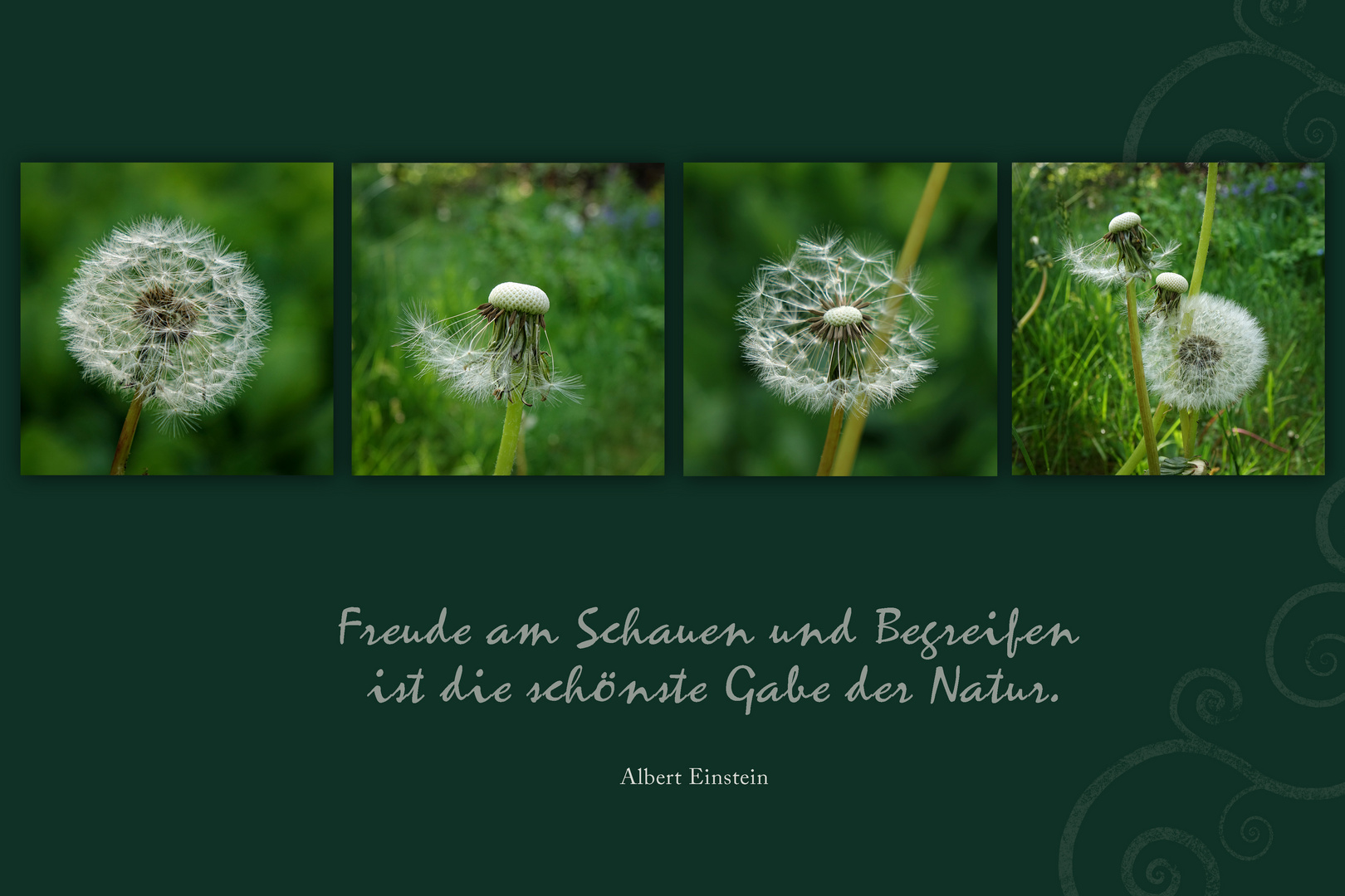 Freude 4