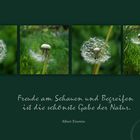 Freude 4