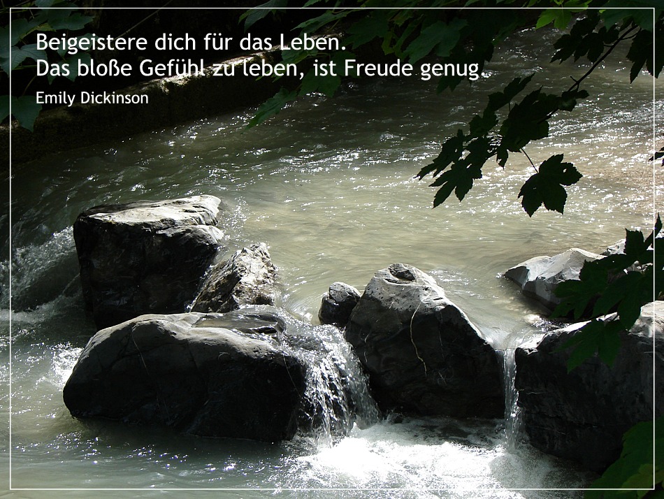 32+ Freude im leben sprueche information sprucheiqz