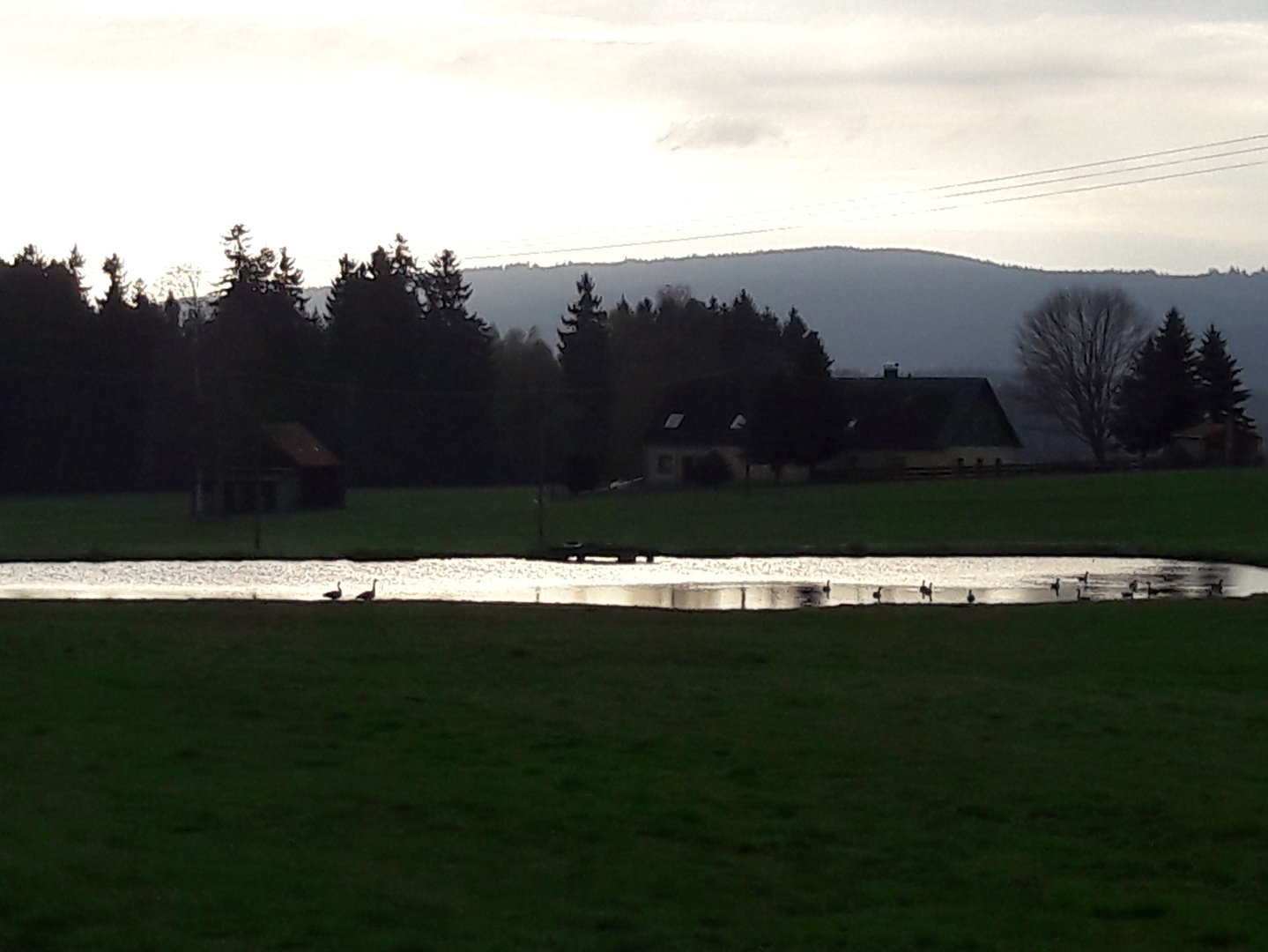 Freude am Ostermorgen 