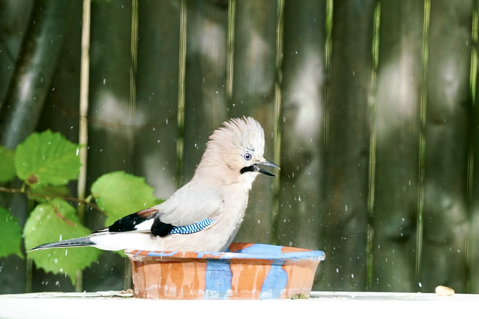 Freude am Wasser