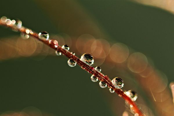Freude an kleinen Dingen....