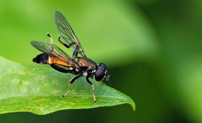 FREUDE HERRSCHT, HEUTE IST "SONNTAG MIT SONNE"   :-)))