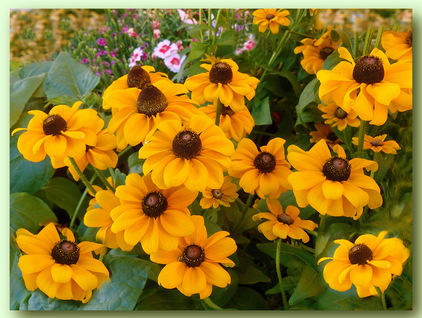 Freude im Garten    