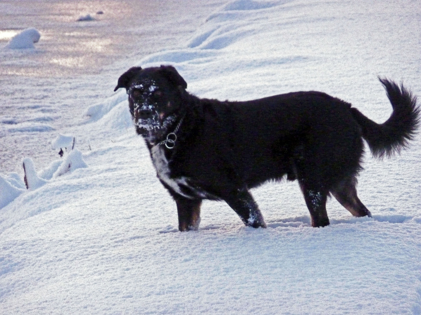 Freude im Schnee