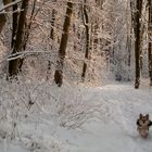 Freude im Schnee