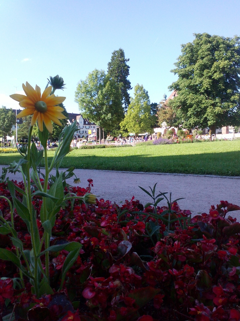 freude in freudenstadt