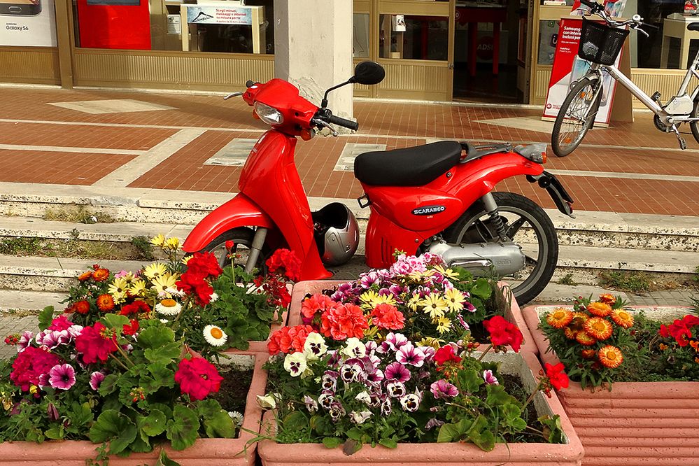 Freude in Rot / Rosso goioso