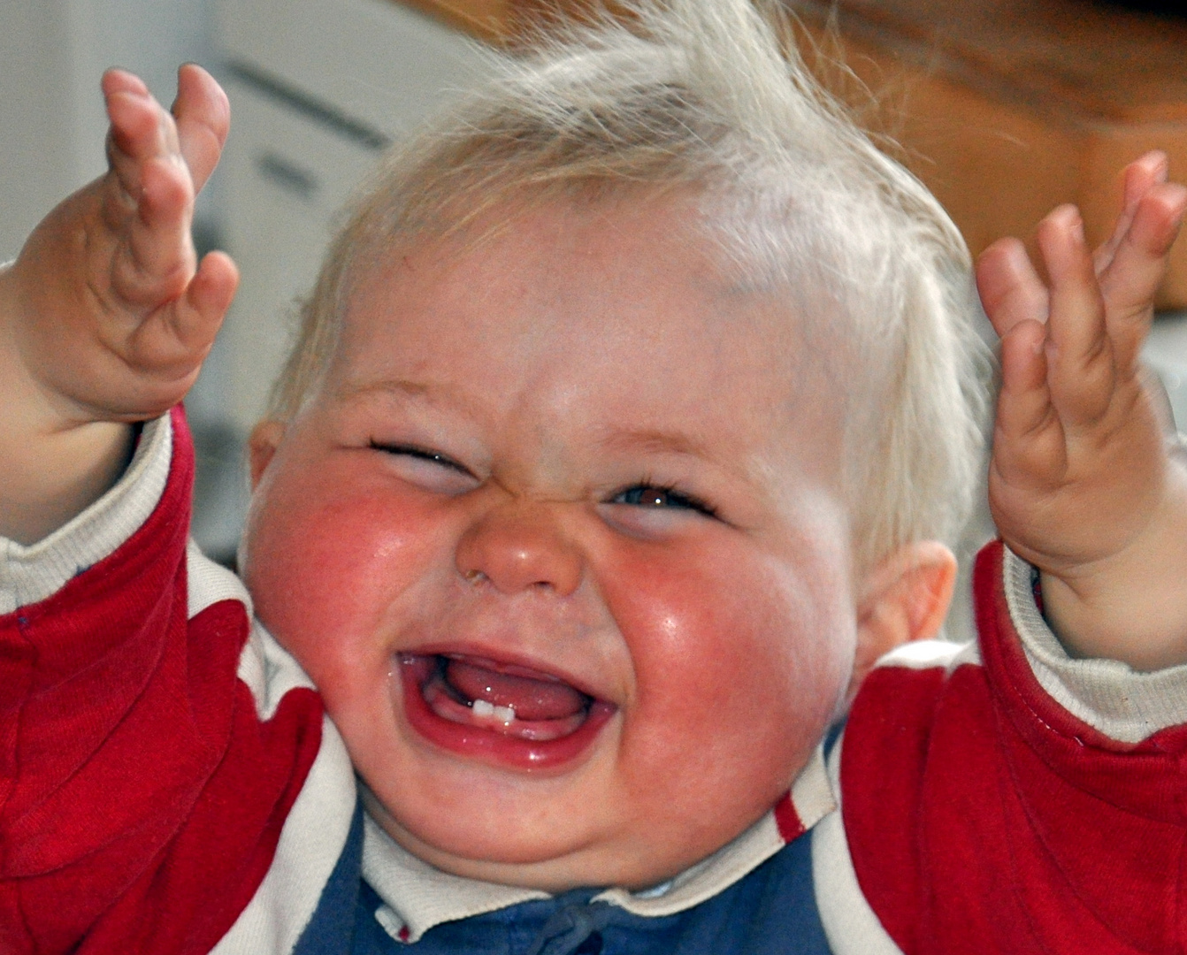 Freude Pur Foto & Bild | karten und kalender, dankeschön, rolfs album