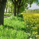 Freude über Licht und Sonnenschein