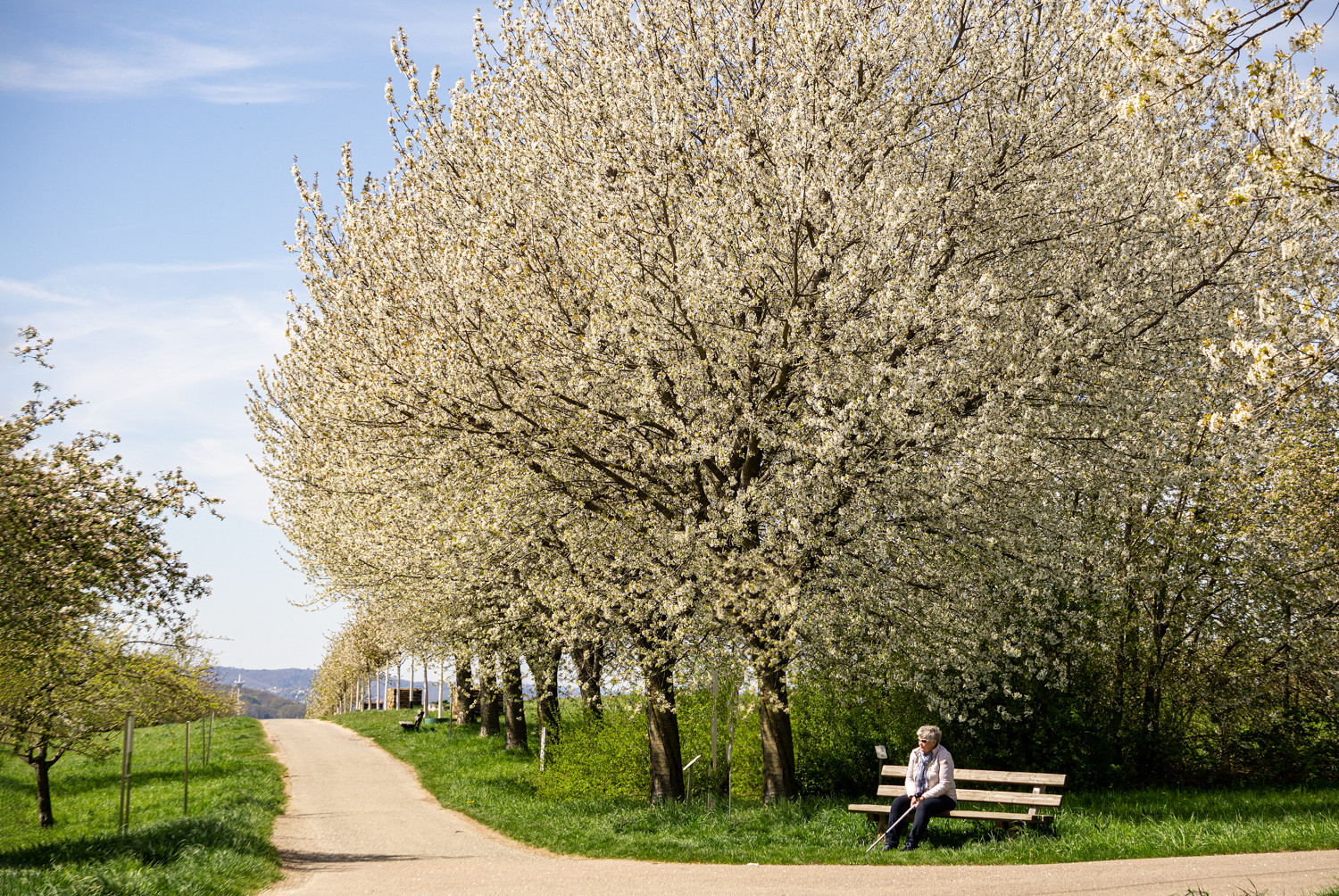 Freuden des Frühlings