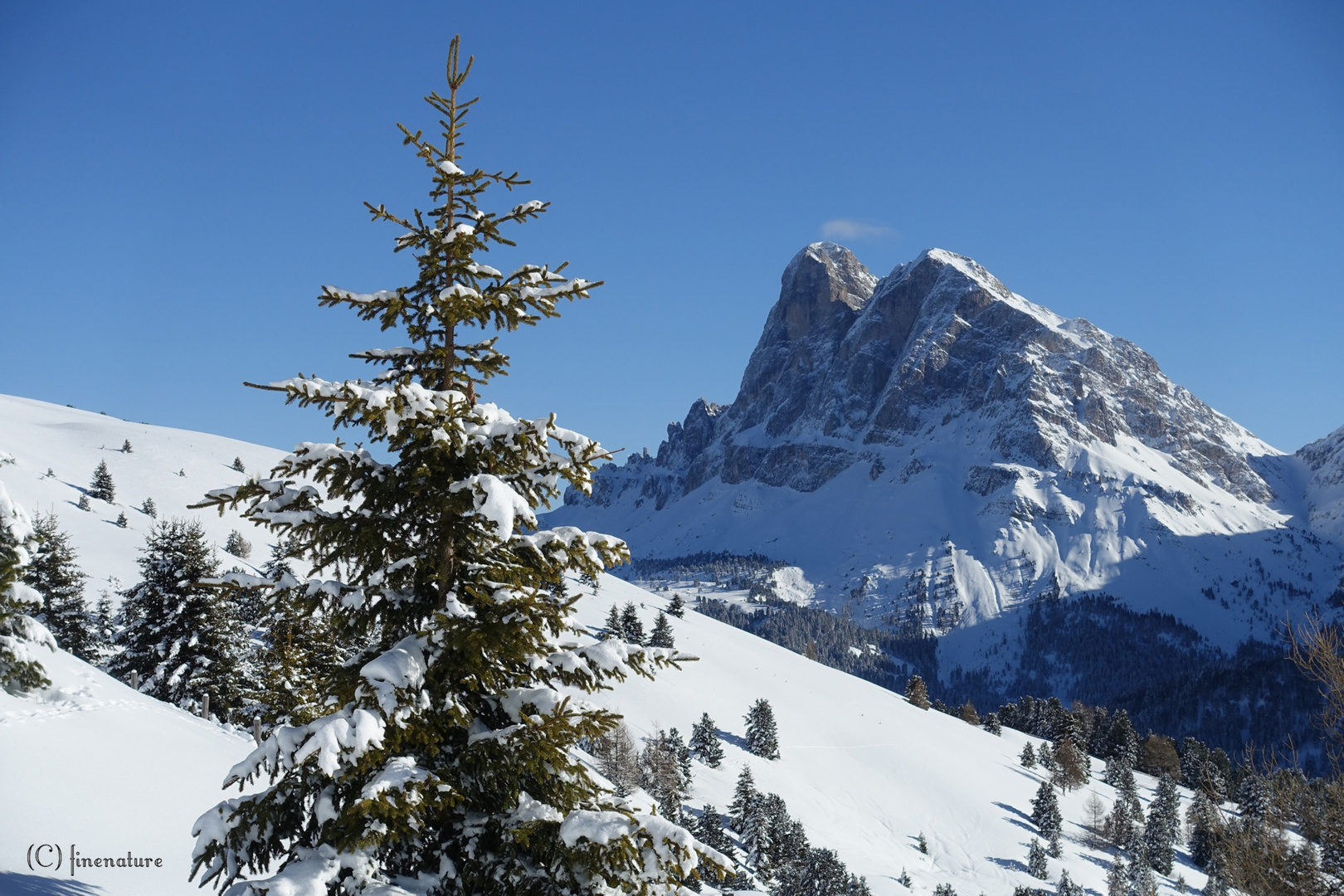 Freuden des Winters