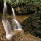 Freuden eines Naturfotografen