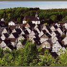 FREUDENBERG