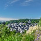 Freudenberg Blick auf den "alten Flecken"