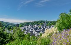 Freudenberg Blick auf den "alten Flecken"