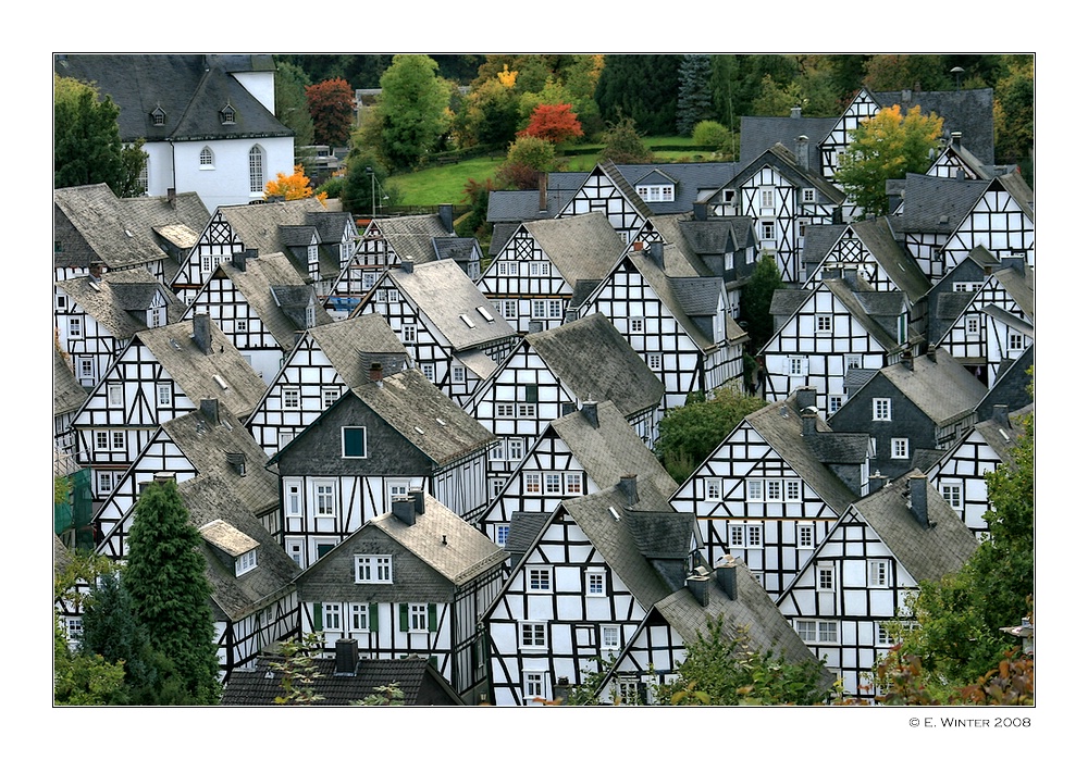 -FREUDENBERG-