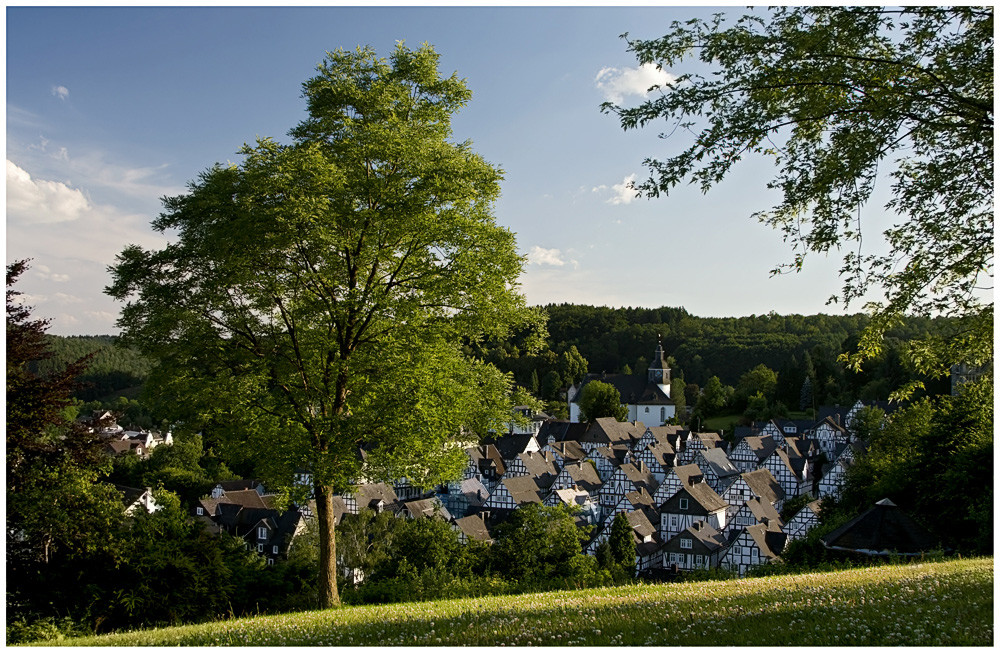 Freudenberg @ Day