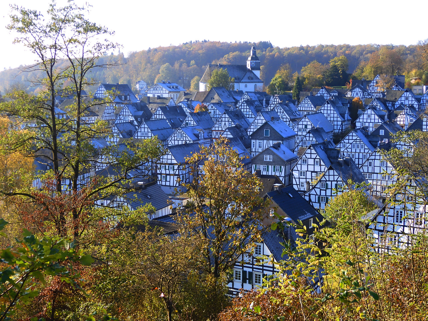 Freudenberg lag im Sonnenschein