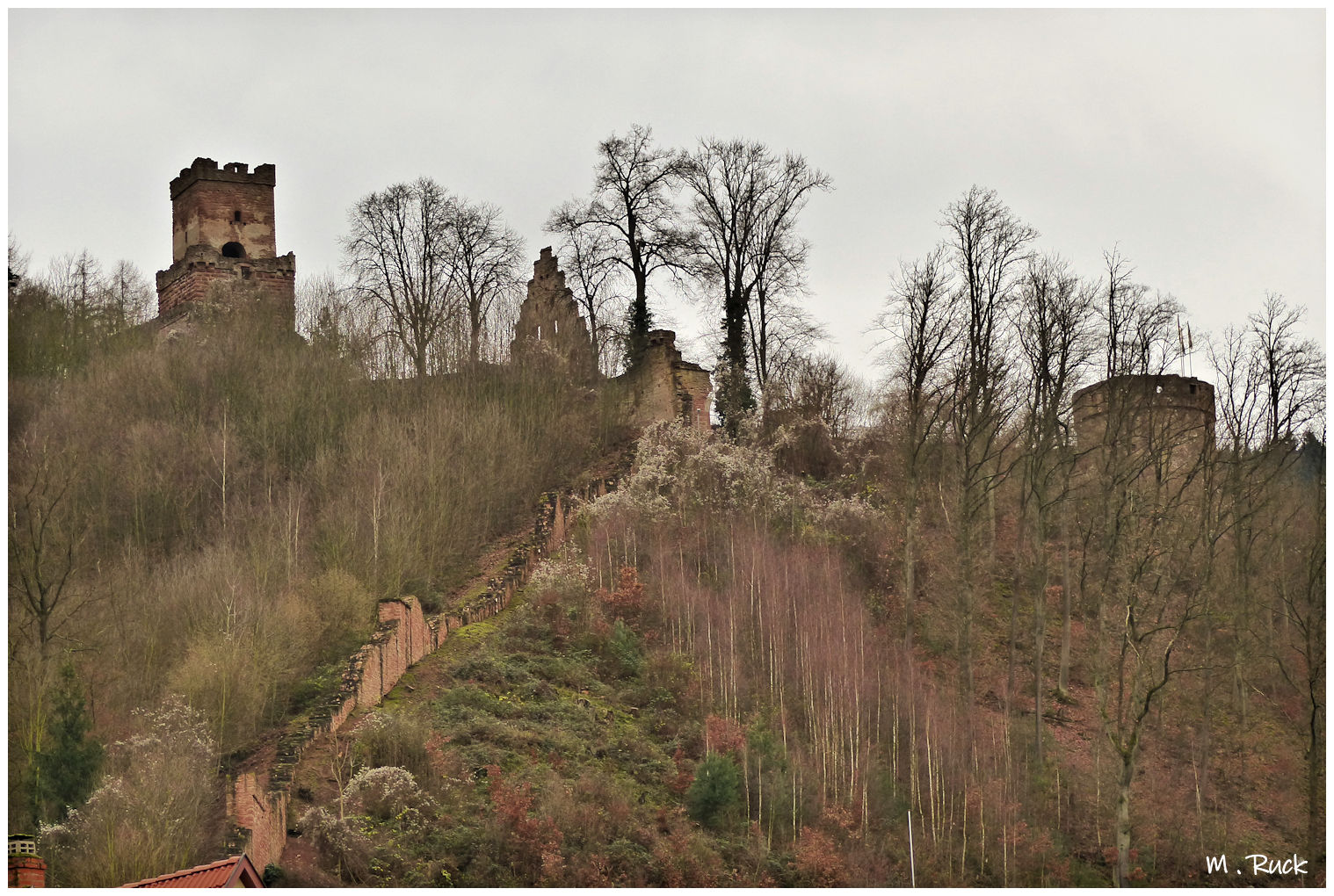 Freudenberger Burg an einem grauen Dezember Tag 2019 Foto & Bild