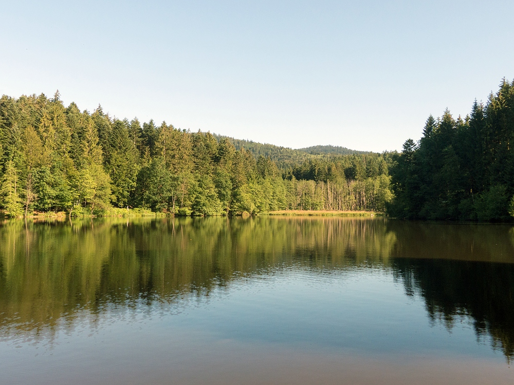 Freudensee im Sonnenschein