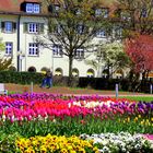 Freudenstadt Europas größter Marktplatz im Frühling