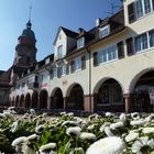 Freudenstadt, Frühlingsbild