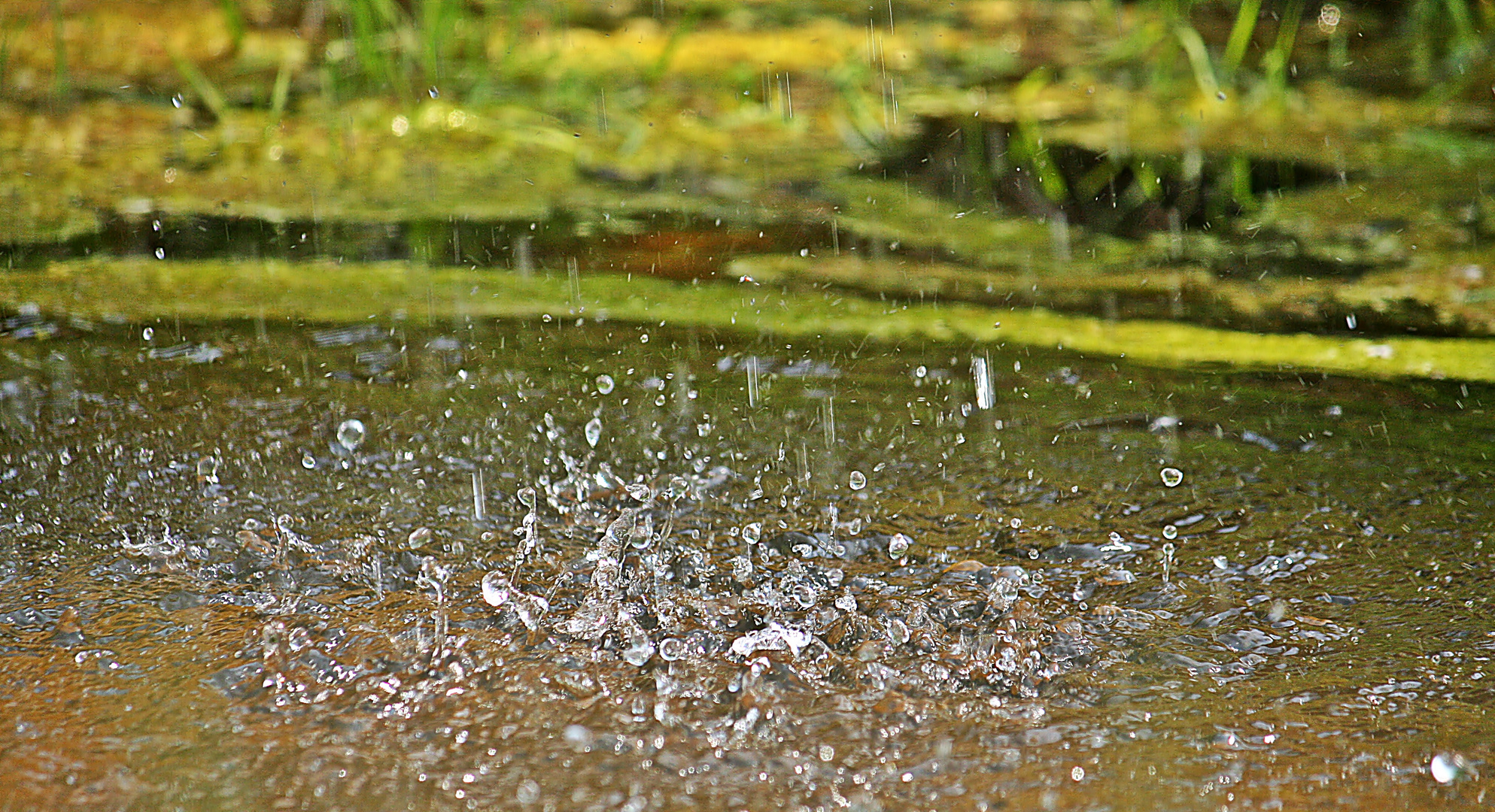 Freudentanz der Wassertropfen