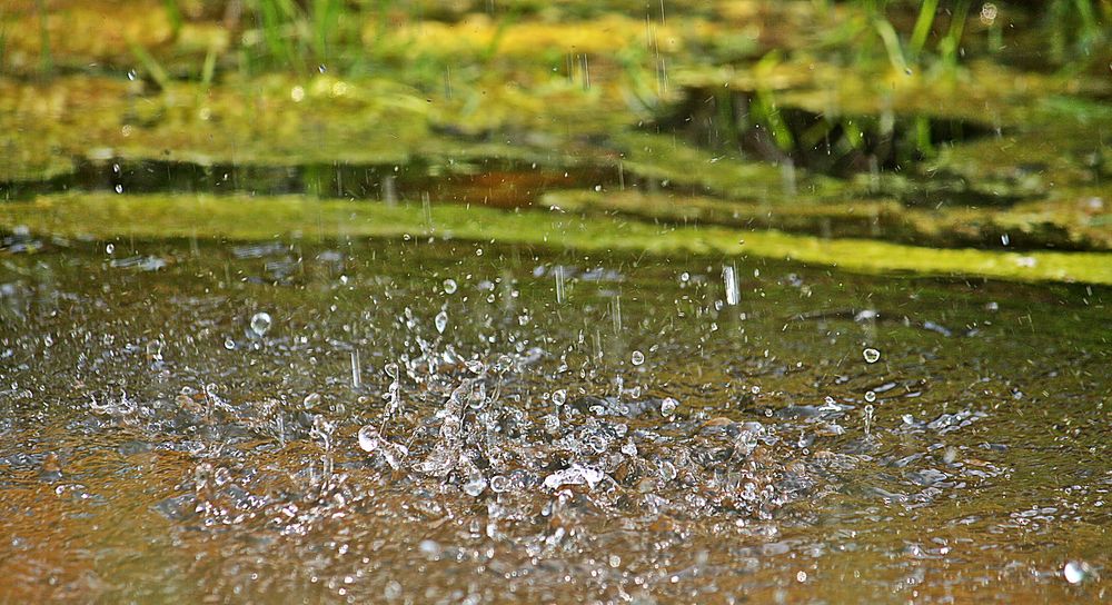 Freudentanz der Wassertropfen