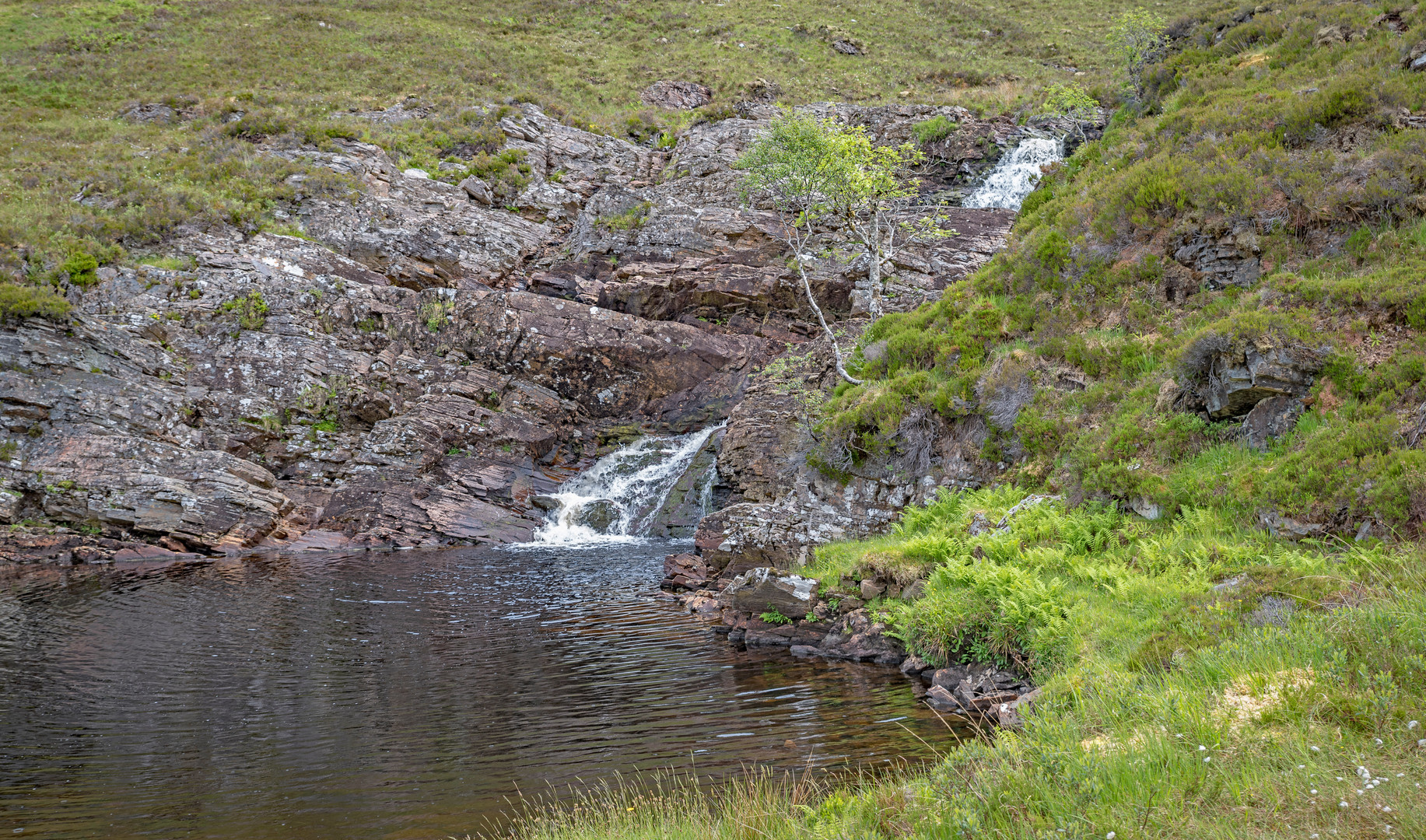 Freudentanz des Wassers