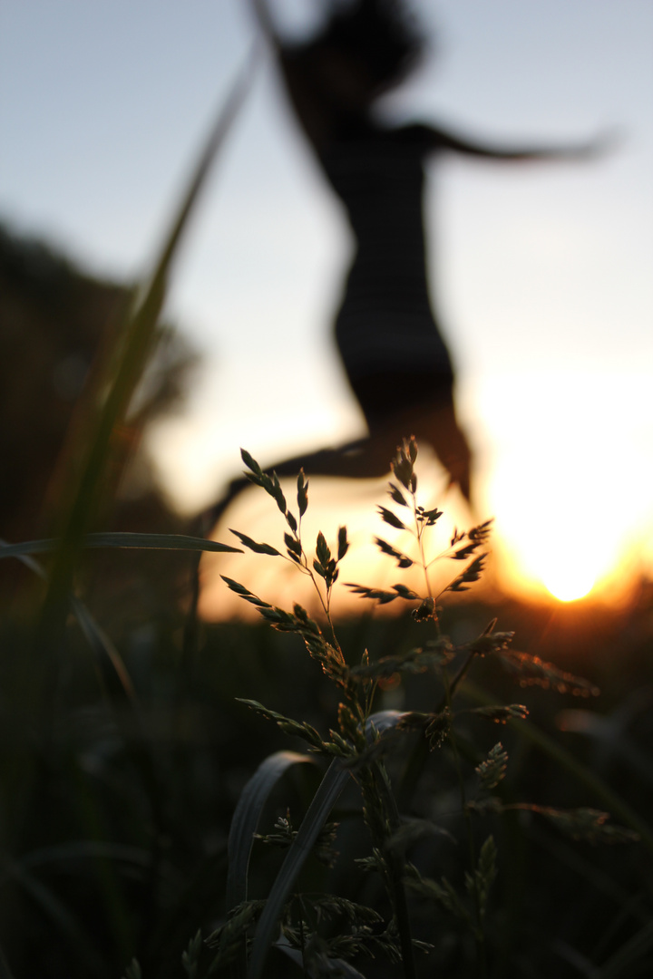 Freudentanz durch die Natur