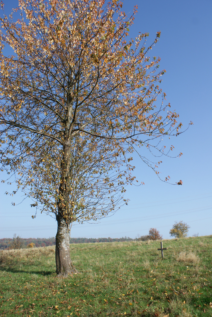 Freund verabschieden im Herbst