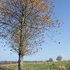 Freund verabschieden im Herbst