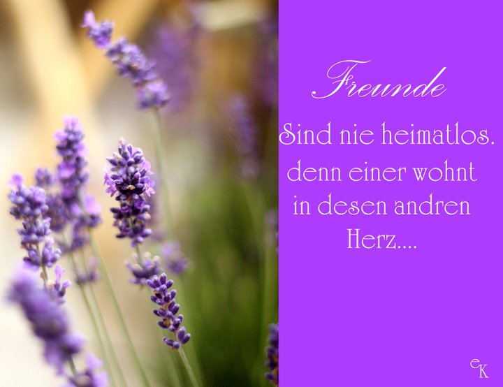 Freunde...