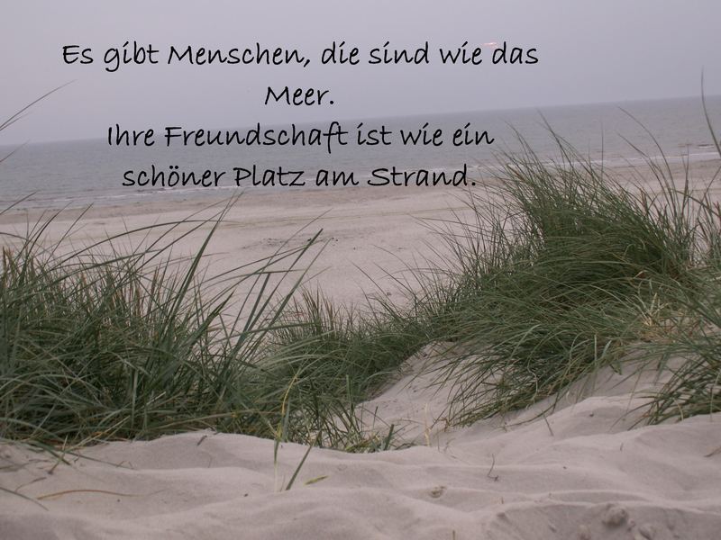 °°°FREUNDE°°°