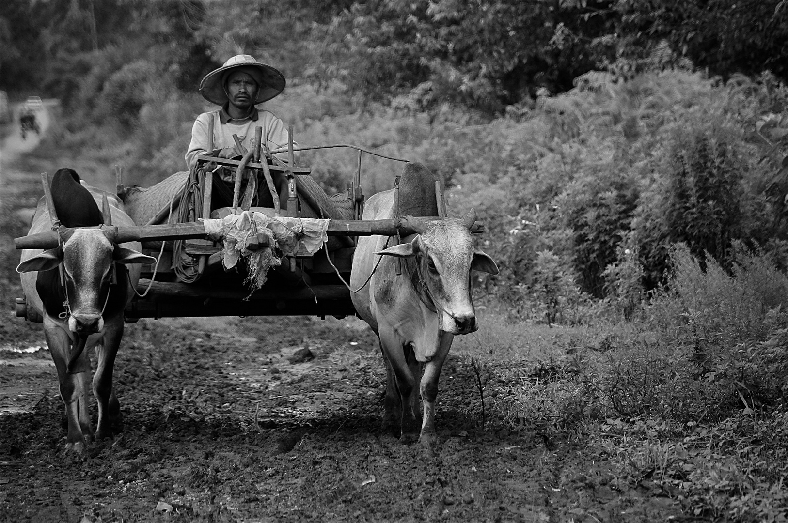 freunde , burma 2011