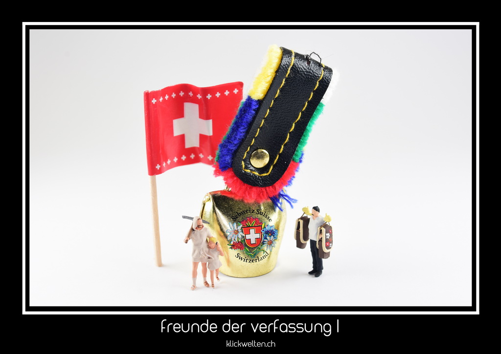 freunde der verfassung I