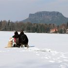 Freunde für´s Leben!