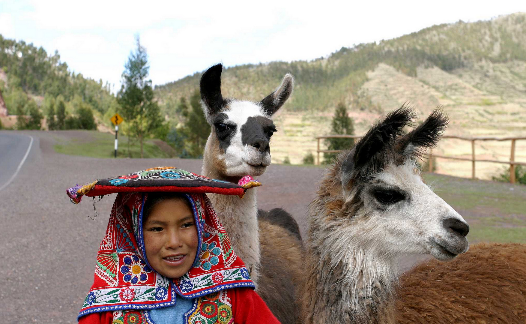 Freunde - Mitten in Peru